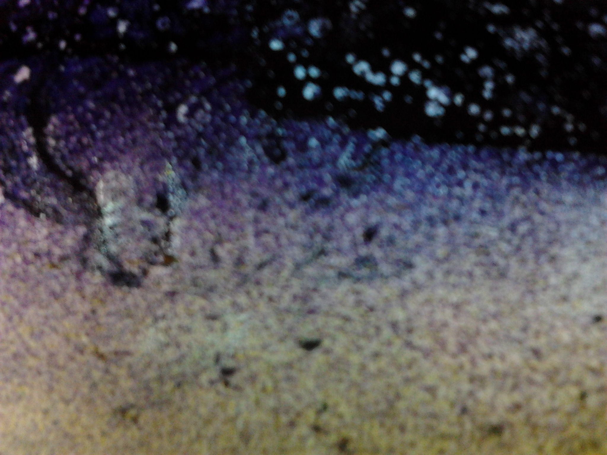 abstract-foto-h.jpeg